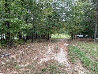 Property photo 83 - REAL ESTATE AUCTION - 70.24+/- ACRES OFFERED IN 2 TRACTS IN WOOD & SMITH COUNTIES, TEXAS