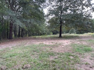 Property photo 85 - REAL ESTATE AUCTION - 70.24+/- ACRES OFFERED IN 2 TRACTS IN WOOD & SMITH COUNTIES, TEXAS