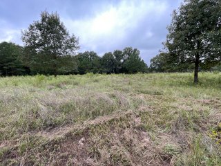 Property photo 94 - REAL ESTATE AUCTION - 70.24+/- ACRES OFFERED IN 2 TRACTS IN WOOD & SMITH COUNTIES, TEXAS