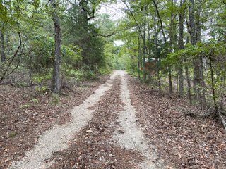 Property photo 77 - REAL ESTATE AUCTION - 70.24+/- ACRES OFFERED IN 2 TRACTS IN WOOD & SMITH COUNTIES, TEXAS
