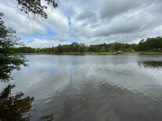 Property photo 131 - REAL ESTATE AUCTION - 70.24+/- ACRES OFFERED IN 2 TRACTS IN WOOD & SMITH COUNTIES, TEXAS