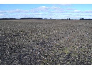 Property photo 29 - REAL ESTATE AUCTION - 383.5+/- ACRES OFFERED IN 9 TRACTS IN JASPER COUNTY, INDIANA