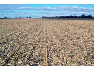 Property photo 30 - REAL ESTATE AUCTION - 383.5+/- ACRES OFFERED IN 9 TRACTS IN JASPER COUNTY, INDIANA