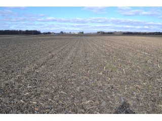 Property photo 31 - REAL ESTATE AUCTION - 383.5+/- ACRES OFFERED IN 9 TRACTS IN JASPER COUNTY, INDIANA