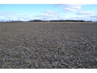 Property photo 33 - REAL ESTATE AUCTION - 383.5+/- ACRES OFFERED IN 9 TRACTS IN JASPER COUNTY, INDIANA