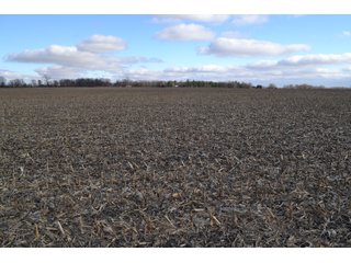 Property photo 34 - REAL ESTATE AUCTION - 383.5+/- ACRES OFFERED IN 9 TRACTS IN JASPER COUNTY, INDIANA