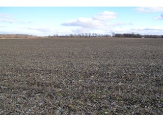 Property photo 35 - REAL ESTATE AUCTION - 383.5+/- ACRES OFFERED IN 9 TRACTS IN JASPER COUNTY, INDIANA