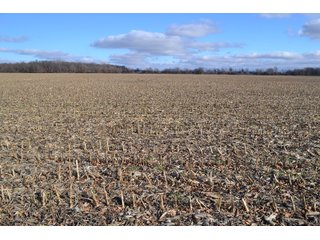 Property photo 36 - REAL ESTATE AUCTION - 383.5+/- ACRES OFFERED IN 9 TRACTS IN JASPER COUNTY, INDIANA