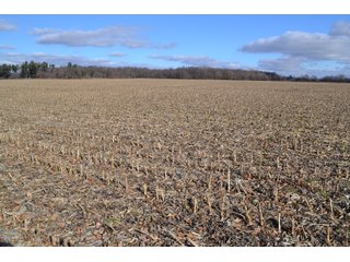 Property photo 37 - REAL ESTATE AUCTION - 383.5+/- ACRES OFFERED IN 9 TRACTS IN JASPER COUNTY, INDIANA