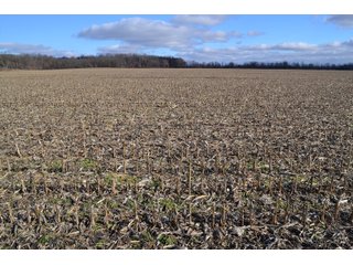 Property photo 38 - REAL ESTATE AUCTION - 383.5+/- ACRES OFFERED IN 9 TRACTS IN JASPER COUNTY, INDIANA