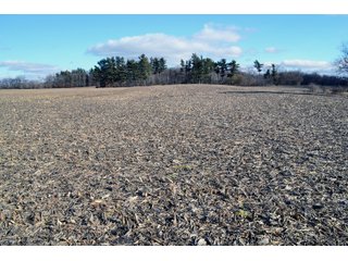 Property photo 39 - REAL ESTATE AUCTION - 383.5+/- ACRES OFFERED IN 9 TRACTS IN JASPER COUNTY, INDIANA
