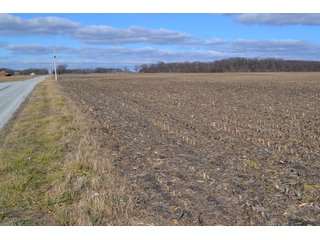 Property photo 40 - REAL ESTATE AUCTION - 383.5+/- ACRES OFFERED IN 9 TRACTS IN JASPER COUNTY, INDIANA