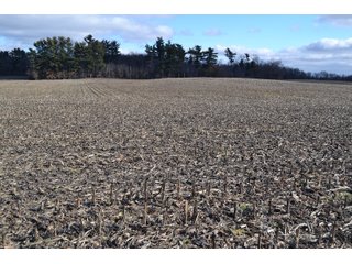 Property photo 41 - REAL ESTATE AUCTION - 383.5+/- ACRES OFFERED IN 9 TRACTS IN JASPER COUNTY, INDIANA