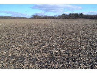 Property photo 42 - REAL ESTATE AUCTION - 383.5+/- ACRES OFFERED IN 9 TRACTS IN JASPER COUNTY, INDIANA