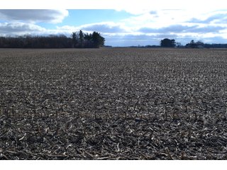 Property photo 43 - REAL ESTATE AUCTION - 383.5+/- ACRES OFFERED IN 9 TRACTS IN JASPER COUNTY, INDIANA