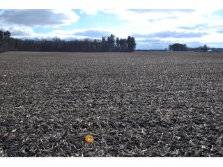 Property photo 45 - REAL ESTATE AUCTION - 383.5+/- ACRES OFFERED IN 9 TRACTS IN JASPER COUNTY, INDIANA