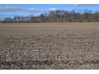 Property photo 46 - REAL ESTATE AUCTION - 383.5+/- ACRES OFFERED IN 9 TRACTS IN JASPER COUNTY, INDIANA
