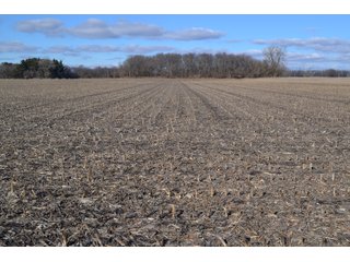 Property photo 50 - REAL ESTATE AUCTION - 383.5+/- ACRES OFFERED IN 9 TRACTS IN JASPER COUNTY, INDIANA