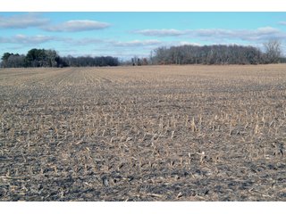 Property photo 51 - REAL ESTATE AUCTION - 383.5+/- ACRES OFFERED IN 9 TRACTS IN JASPER COUNTY, INDIANA