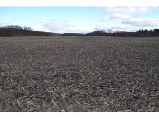 Property photo 53 - REAL ESTATE AUCTION - 383.5+/- ACRES OFFERED IN 9 TRACTS IN JASPER COUNTY, INDIANA