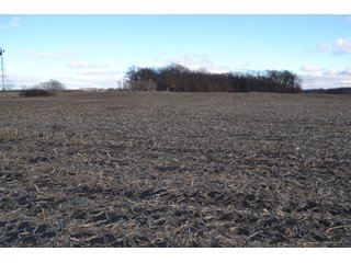 Property photo 58 - REAL ESTATE AUCTION - 383.5+/- ACRES OFFERED IN 9 TRACTS IN JASPER COUNTY, INDIANA
