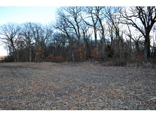 Property photo 61 - REAL ESTATE AUCTION - 383.5+/- ACRES OFFERED IN 9 TRACTS IN JASPER COUNTY, INDIANA