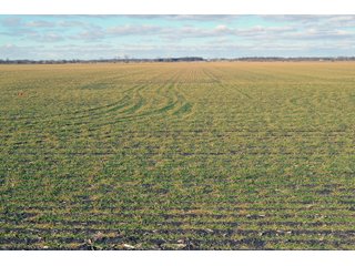 Property photo 64 - REAL ESTATE AUCTION - 383.5+/- ACRES OFFERED IN 9 TRACTS IN JASPER COUNTY, INDIANA