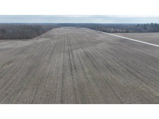 Property photo 13 - REAL ESTATE AUCTION - 383.5+/- ACRES OFFERED IN 9 TRACTS IN JASPER COUNTY, INDIANA