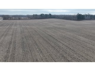 Property photo 15 - REAL ESTATE AUCTION - 383.5+/- ACRES OFFERED IN 9 TRACTS IN JASPER COUNTY, INDIANA