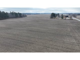 Property photo 16 - REAL ESTATE AUCTION - 383.5+/- ACRES OFFERED IN 9 TRACTS IN JASPER COUNTY, INDIANA