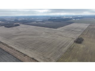 Property photo 20 - REAL ESTATE AUCTION - 383.5+/- ACRES OFFERED IN 9 TRACTS IN JASPER COUNTY, INDIANA