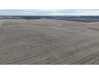 Property photo 22 - REAL ESTATE AUCTION - 383.5+/- ACRES OFFERED IN 9 TRACTS IN JASPER COUNTY, INDIANA