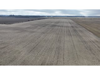 Property photo 23 - REAL ESTATE AUCTION - 383.5+/- ACRES OFFERED IN 9 TRACTS IN JASPER COUNTY, INDIANA