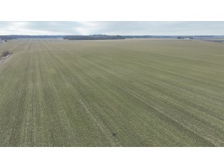 Property photo 26 - REAL ESTATE AUCTION - 383.5+/- ACRES OFFERED IN 9 TRACTS IN JASPER COUNTY, INDIANA