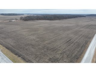 Property photo 6 - REAL ESTATE AUCTION - 383.5+/- ACRES OFFERED IN 9 TRACTS IN JASPER COUNTY, INDIANA