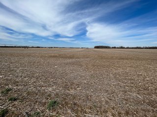 Property photo 37 - LAND AUCTION - 200+/- ACRES OFFERED IN 3 TRACTS IN LAPORTE & PORTER COUNTIES, INDIANA
