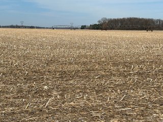 Property photo 45 - LAND AUCTION - 200+/- ACRES OFFERED IN 3 TRACTS IN LAPORTE & PORTER COUNTIES, INDIANA