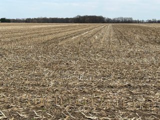 Property photo 46 - LAND AUCTION - 200+/- ACRES OFFERED IN 3 TRACTS IN LAPORTE & PORTER COUNTIES, INDIANA