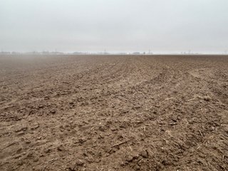 Property photo 52 - LAND AUCTION - 200+/- ACRES OFFERED IN 3 TRACTS IN LAPORTE & PORTER COUNTIES, INDIANA