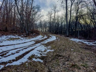 Property photo 69 - LAND AUCTION - 648+/- ACRES OFFERED IN 13 TRACTS IN CLAYTON COUNTY, IOWA