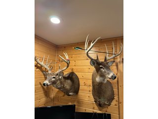 Property photo 148 - LAND AUCTION - 648+/- ACRES OFFERED IN 13 TRACTS IN CLAYTON COUNTY, IOWA