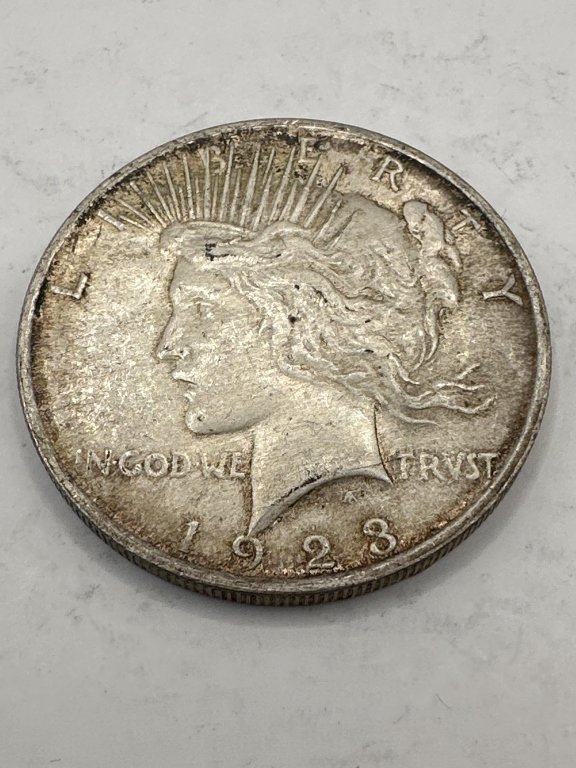 Property photo 24 - COIN AUCTION - ALLEN COUNTY, INDIANA