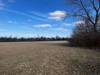 TRACTS 2 & 3 - IMPORTANT LAND AUCTION 205+/- ACRES OFFERED IN 3 TRACTS IN WOOD COUNTY, OHIO