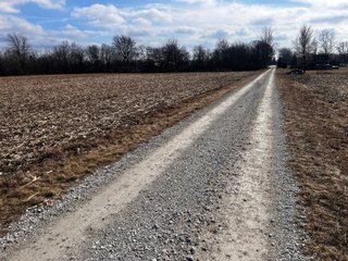 TRACTS 2 & 3 - IMPORTANT LAND AUCTION 205+/- ACRES OFFERED IN 3 TRACTS IN WOOD COUNTY, OHIO