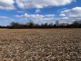TRACTS 2 & 3 - IMPORTANT LAND AUCTION 205+/- ACRES OFFERED IN 3 TRACTS IN WOOD COUNTY, OHIO