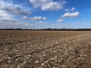 TRACTS 2 & 3 - IMPORTANT LAND AUCTION 205+/- ACRES OFFERED IN 3 TRACTS IN WOOD COUNTY, OHIO