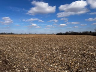 TRACTS 2 & 3 - IMPORTANT LAND AUCTION 205+/- ACRES OFFERED IN 3 TRACTS IN WOOD COUNTY, OHIO