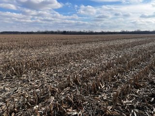 TRACTS 2 & 3 - IMPORTANT LAND AUCTION 205+/- ACRES OFFERED IN 3 TRACTS IN WOOD COUNTY, OHIO