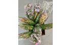 Property photo 29 - TIMED ONLINE - Floral Shop Business Liquidation Auction #1 IN ALLEN COUNTY, INDIANA