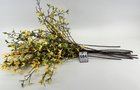 Property photo 35 - TIMED ONLINE - Floral Shop Business Liquidation Auction #1 IN ALLEN COUNTY, INDIANA